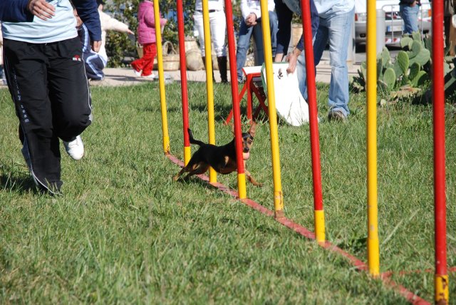 100 strade per giocare 2008